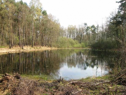 Bild 2 von Weckers Heideteich